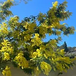 Apartamento La Cartagene - Entoure De Nature *