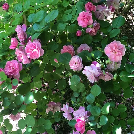 La Cartagene - Entoure De Nature *