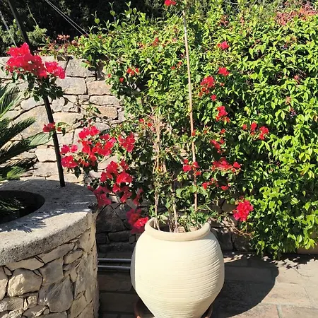 La Cartagene - Entoure De Nature *