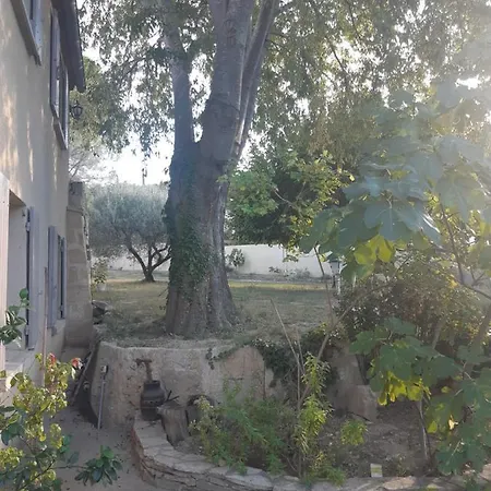 La Cartagene - Entoure De Nature Apartament *