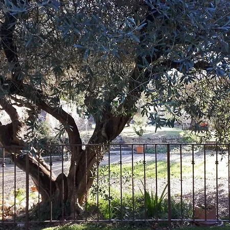Apartament La Cartagene - Entoure De Nature *