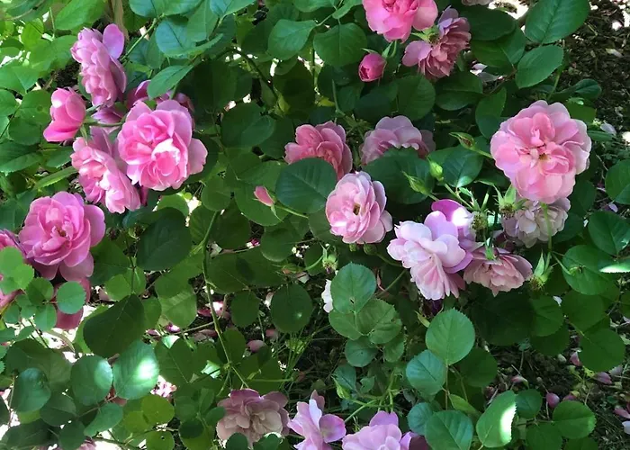 La Cartagene - Entoure De Nature *