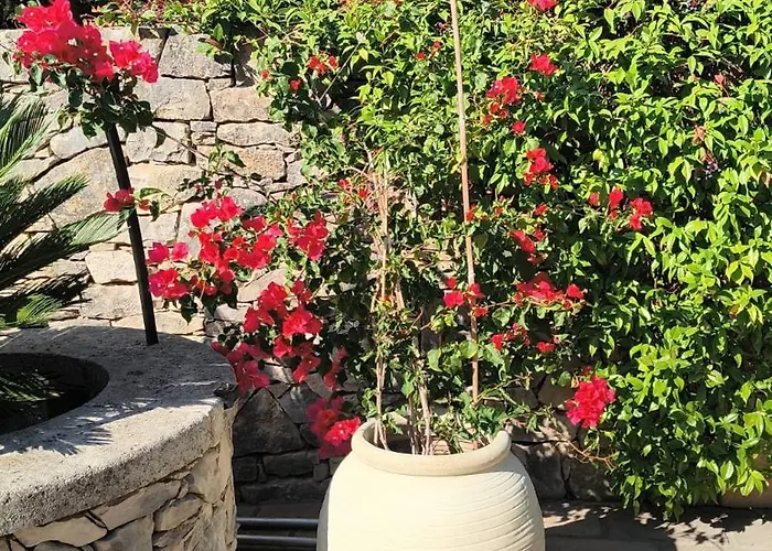 La Cartagene - Entoure De Nature *
